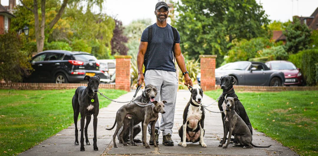 Don Jordan, founder of K9 Exclusive Walks, with his pack of sighthounds in North London